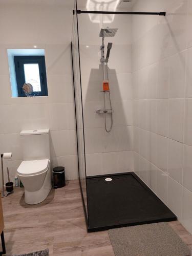 une salle de bain avec douche, toilettes et fenêtre dans l'établissement Studio2 Fontaine de L'amour, à Sarlat-la-Canéda