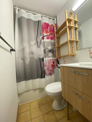 un bagno con un water e una tenda da doccia di Petit T2 proche de la plage a Sète