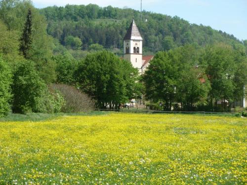 a field of yellow flowers in front of a church at Ferienwohnung zur Altmühl in Pappenheim