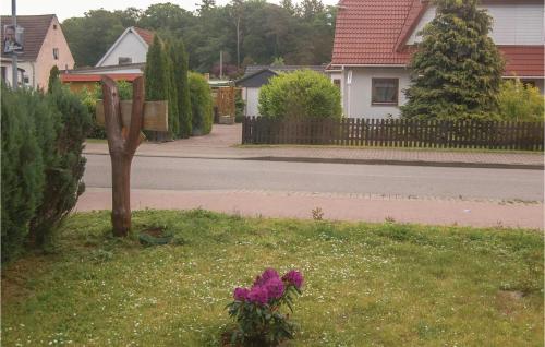 Zahrada ubytování Cozy Apartment In Rostock With Wifi