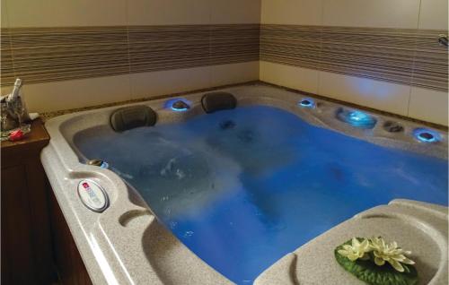 a jacuzzi tub with a plant in the middle at Stunning Apartment In Lasko With Wifi in Laško