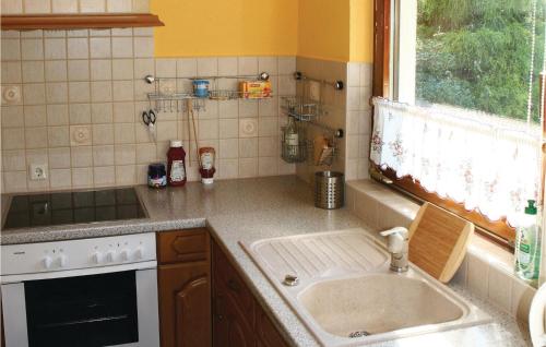 eine Küche mit einer Spüle, einem Herd und einem Fenster in der Unterkunft Stunning Home In Lengenfeld-plohn With 2 Bedrooms, Wifi And Sauna in Pechtelsgrün