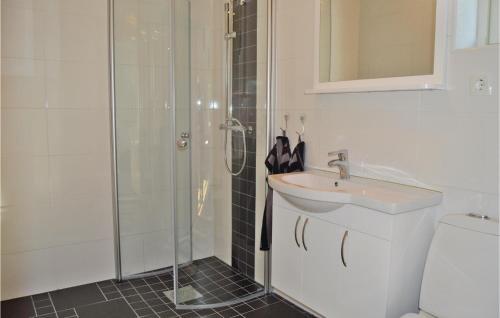 uma casa de banho com um chuveiro, um lavatório e um WC. em Awesome Home In Grisslehamn With Kitchen em Grisslehamn