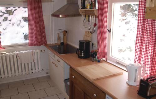 Cuisine ou kitchenette dans l'établissement Amazing Home In Blankenburg With House A Mountain View