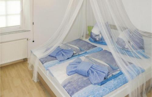 ツェンピンにあるAmazing Apartment In Zempin With 1 Bedrooms And Wifiのベッドルーム(青い枕と天蓋付きベッド付)