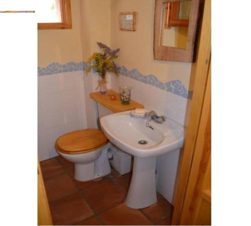 a bathroom with a toilet and a sink at La Casa Del Teix in Eslida