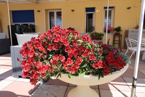 Ein Garten an der Unterkunft Albergo Stella Di Mare