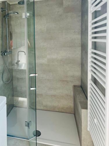 a shower with a glass door in a bathroom at Seehütte Neusiedlersee - Strandhaus, Elektroboot inklusive in Rust
