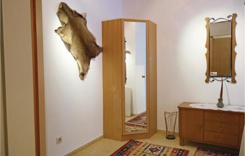 ザンクト・アンドレーアスベルクにあるStunning Apartment In St, Andreasberg With 2 Bedroomsの鏡の横に掛けられている頭蓋骨