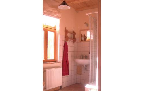 ein Bad mit einem Waschbecken und einer Dusche in der Unterkunft Beautiful Home In Dautphetal With 2 Bedrooms And Wifi in Amelose