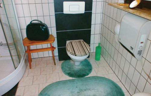 a small bathroom with a toilet and a green rug at Stunning Home In Sundhagen Ot Tremt in Falkenhagen