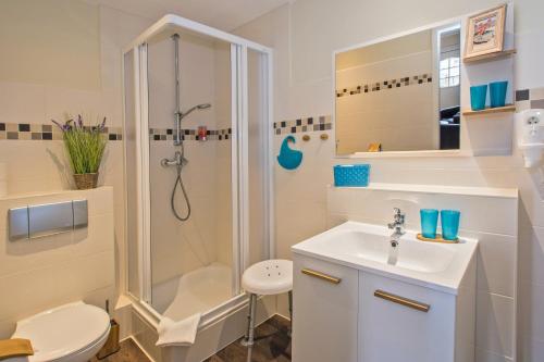 a bathroom with a shower and a toilet and a sink at Hotel Pommerscher Hof in Zinnowitz