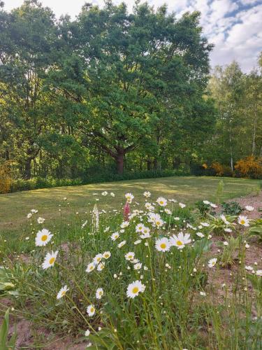 Taman di luar Willa Kraniec Świata - Tylko dla Ciebie - Zachwyca Krajobrazem, Regeneruje Ciszą i Komfortem