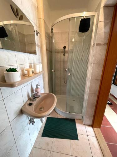a bathroom with a sink and a shower at Bartalos ház in Zánka