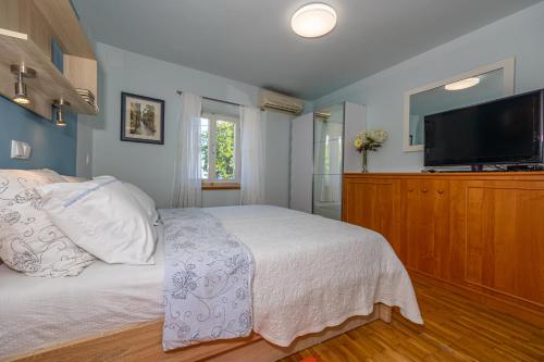 Μια τηλεόραση ή/και κέντρο ψυχαγωγίας στο Apartments Lapis