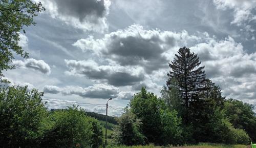 a cloudy sky with trees and a street light w obiekcie Lu ptite cwane dol Lydie w mieście Malmedy