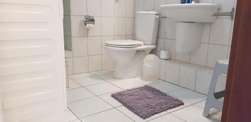 ein Badezimmer mit einem WC, einem Waschbecken und einem Teppich in der Unterkunft Stadtdomizil am Binnensee, Haus Bellevue in Heiligenhafen