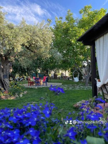 Κήπος έξω από το Villa Aggeliki