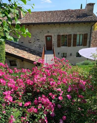 a house with pink flowers in front of it at Al vecchio fienile in Fagagna