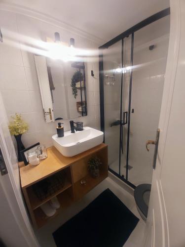 a bathroom with a sink and a shower at Casa Di Penny 2 in Kyparissia