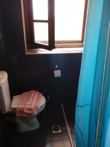 a bathroom with a toilet and a window at Soul boutique hotel in Monodendri