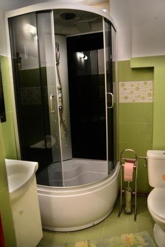 a bathroom with a shower and a toilet at Hostel PanGeea in Sibiu