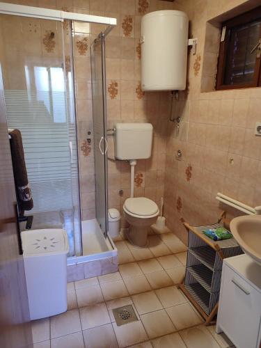 a bathroom with a toilet and a shower and a sink at Apartman Donna in Zaboric