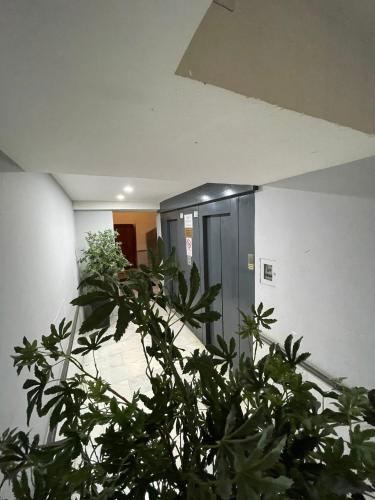 a plant in front of a hallway with a door at A un passo dal Castello Maschio ANGIOINO Appartment in Naples