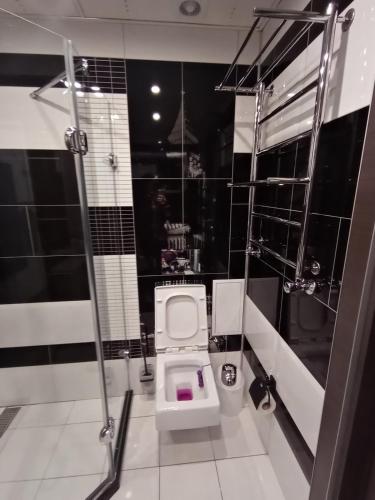 a bathroom with a white toilet and black tiles at Apartment at Kvitka Polonyny in Solochin