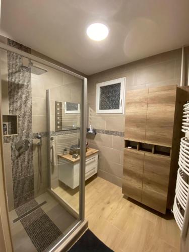 y baño con ducha y lavamanos. en Centrum Apartman, en Kaposvár