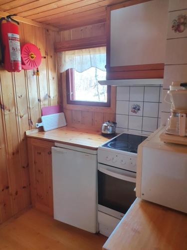 uma pequena cozinha com um fogão e uma janela em Bjørklund em Geilo