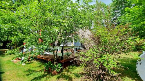 a house sitting in the middle of a tree at Kristians Hus in Gartow
