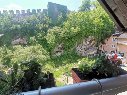 a view from a window with plants at King's Cave deluxe in Jajce