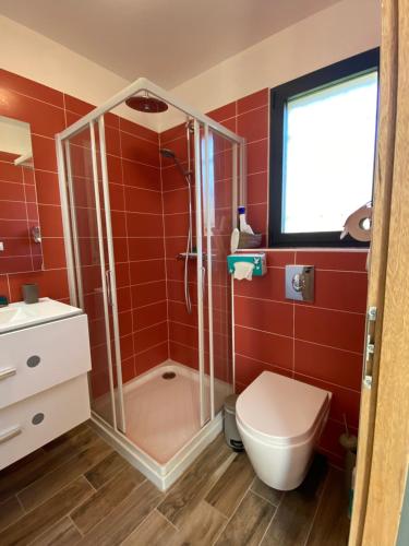 a red bathroom with a shower and a toilet at Le petit Mazet du Domaine avec sa piscine in Saint-Rémy-de-Provence