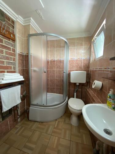 a bathroom with a shower and a toilet and a sink at Pensiunea Mioritica in Sibiel