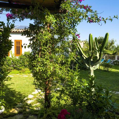 a garden with a cactus and flowers and a house at Stagnone Area Zero in Birgi Vecchi