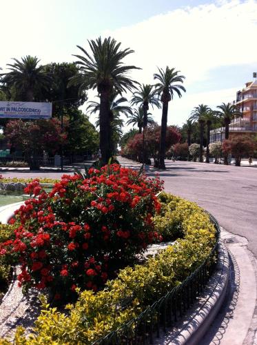 Κήπος έξω από το Hotel La Palazzina