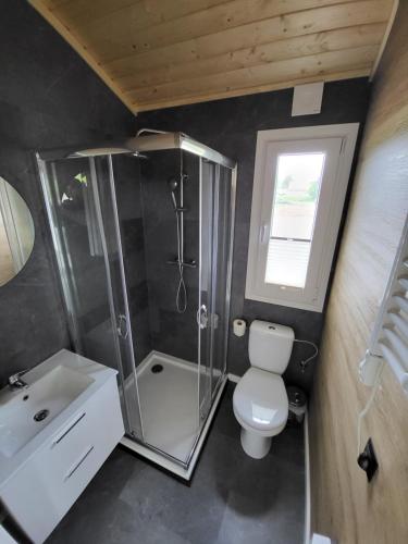 a bathroom with a shower and a toilet and a sink at Marina Houses in Ruciane-Nida