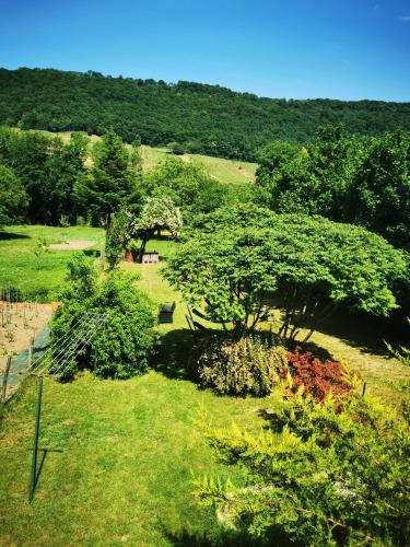 a garden with trees and flowers in a field at Au bord de Seille in Nevy-sur-Seille