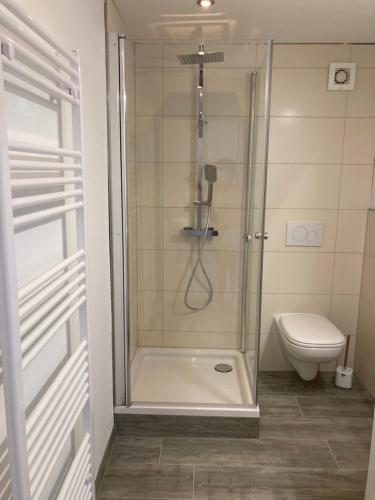 uma casa de banho com um chuveiro e um WC. em Casa Cremer em Übach-Palenberg