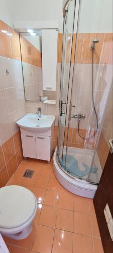 a bathroom with a shower and a toilet and a sink at Apartments Porat in Porat