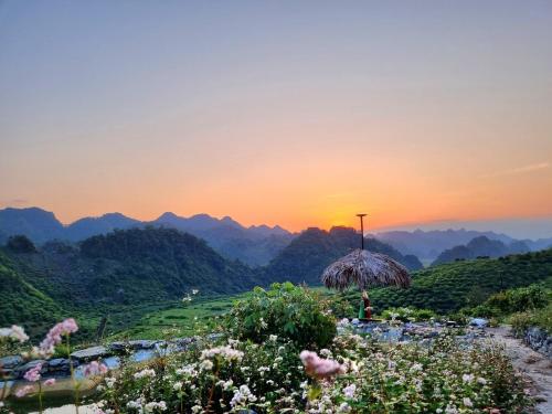 a field of flowers with the sunset in the background at Mộc Châu Peachy Garden in An Pon