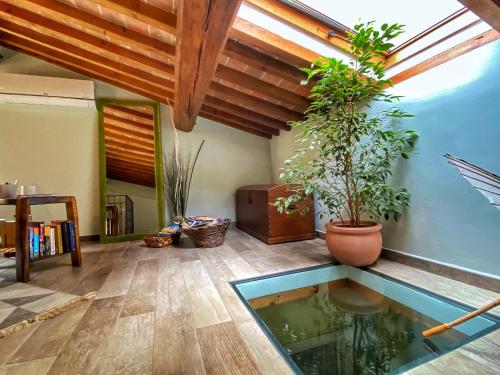 una habitación con un estanque en medio de una habitación con plantas en Il Buonumore, en Montepulciano