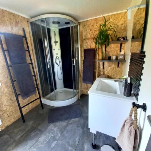 a bathroom with a shower and a sink at La cabane au fond du jardin in Le Massegros