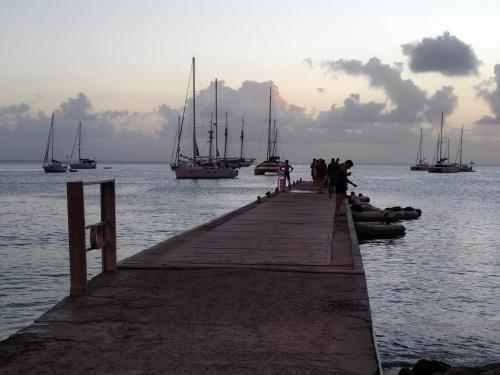 people standing on a dock with boats in the water at Les Hauts des Anses - 5mn plages en voiture in Les Anses-dʼArlets