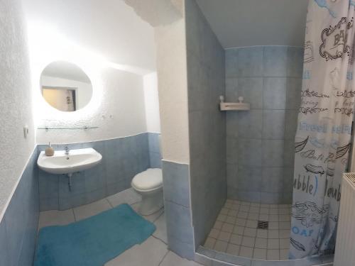La salle de bains est pourvue d'un lavabo, de toilettes et d'une douche. dans l'établissement Ferienwohnung Kransevitz, à Kransevitz