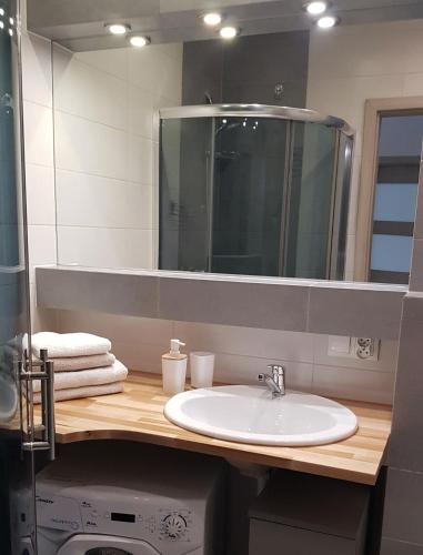 a bathroom with a sink and a mirror at Apartament Leliwa - Centrum - blisko dworca PKP - blisko Starówki - restauracje i sklepy w pobliżu - pierwsze piętro - możliwy kurs na lotnisko -faktura - kawa - herbata - English in Tarnów