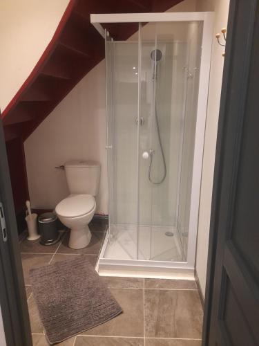 uma casa de banho com um chuveiro e um WC. em Appartement de l'épée em Dieppe