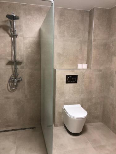 a bathroom with a toilet and a glass shower at Second Home Apartments Miskolctapolca in Miskolctapolca