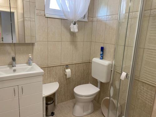 łazienka z toaletą, umywalką i prysznicem w obiekcie Dodi Apartman w Zalakaros
